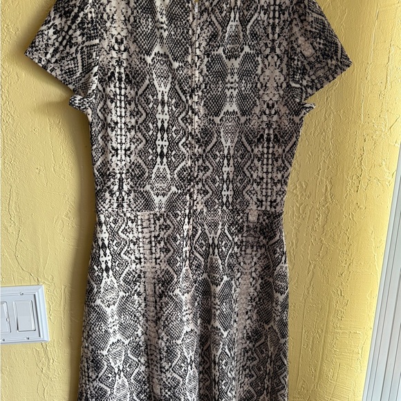 City Studio Black and Cream Snake Print Mini Dress - Picture 4 of 8